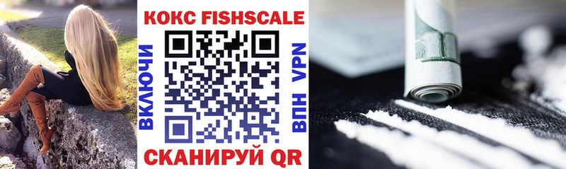 Cocaine Fish Scale  Купить закладки  Холмск 