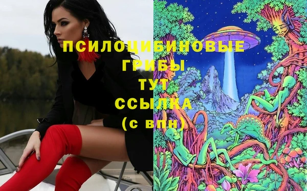 мдпв Заводоуковск
