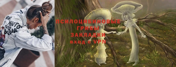 мдма Дмитриев