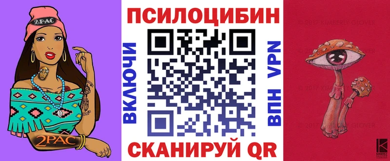 Псилоцибиновые грибы Psilocybine cubensis  Купить где  Холмск 